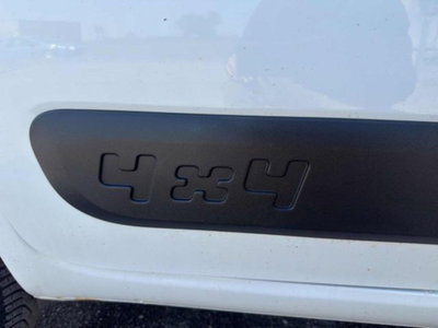 Fiat Panda 1.3 MJT 80 CV S&S 4x4 (16)