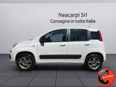 Fiat Panda 1.3 MJT 80 CV S&S 4x4 (3)