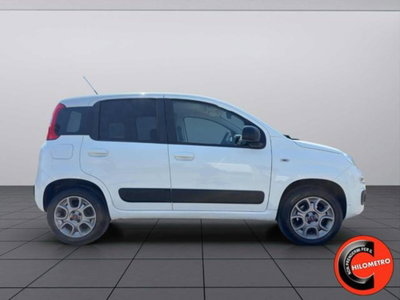 Fiat Panda 1.3 MJT 80 CV S&S 4x4 (4)