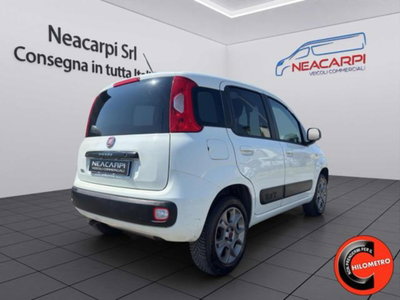 Fiat Panda 1.3 MJT 80 CV S&S 4x4 (8)