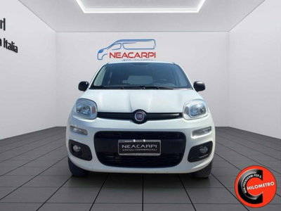 Fiat Panda 1.3 MJT 80 CV S&S 4x4 (9)