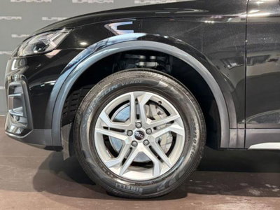 Audi Q5 40 TDI 204 CV quattro S tronic Business (8)