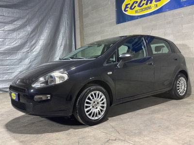 Fiat Punto 1.3 MJT II 75 CV 5 porte Street (4)