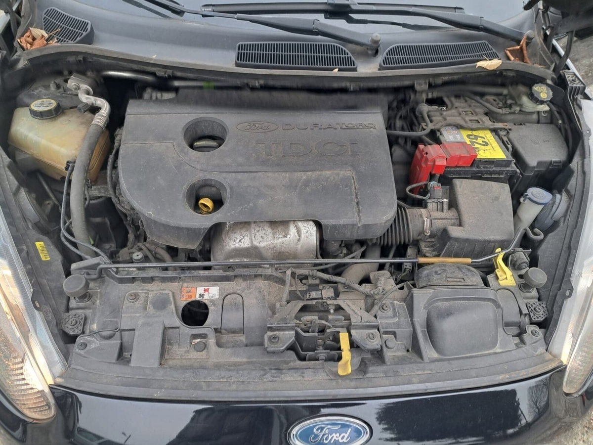 Ford Fiesta 1.5 TDCi 75CV 5 porte Titanium (3)