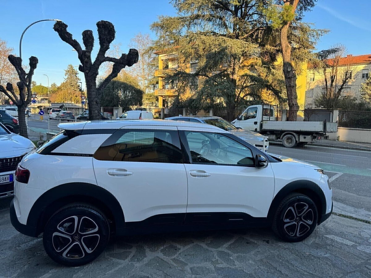Citroen C4 Cactus BlueHDi 120 S&S EAT6 Shine Pack (6)