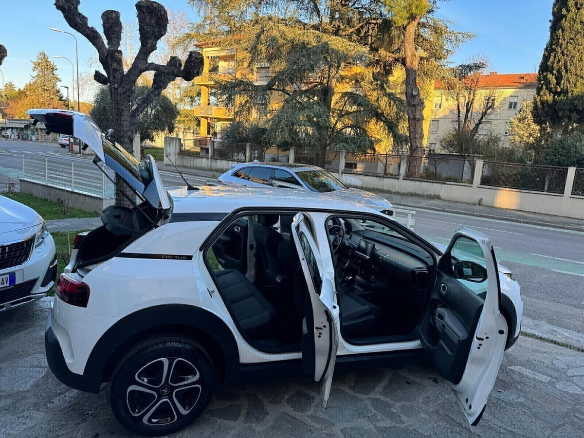 Citroen C4 Cactus BlueHDi 120 S&S EAT6 Shine Pack (8)