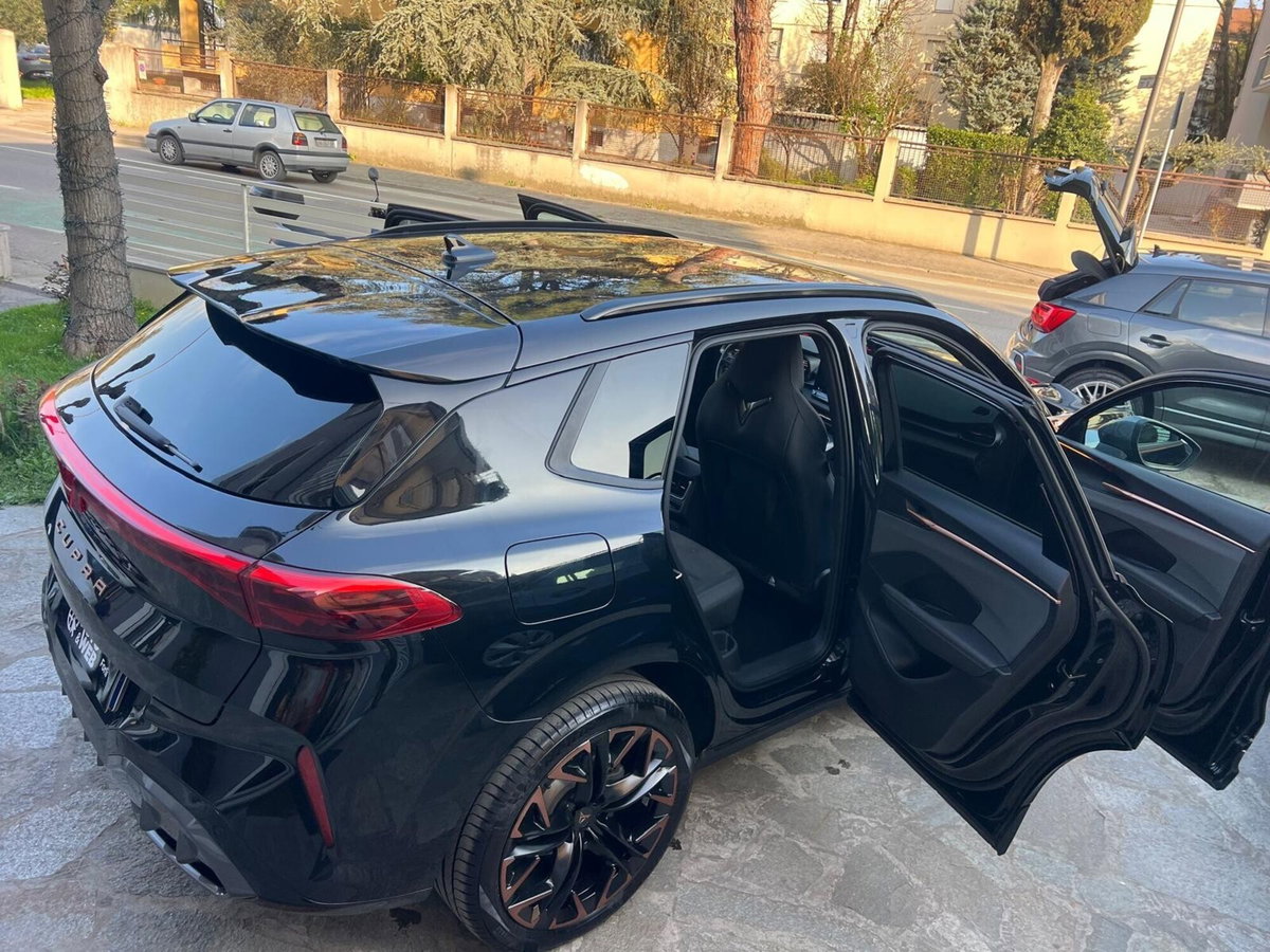 Cupra Terramar 1.5 hybrid 150cv dsg (5)