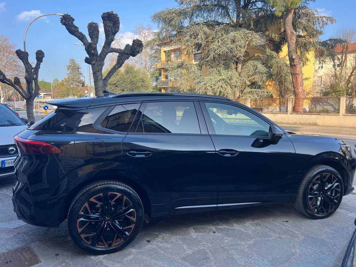 Cupra Terramar 1.5 hybrid 150cv dsg (7)