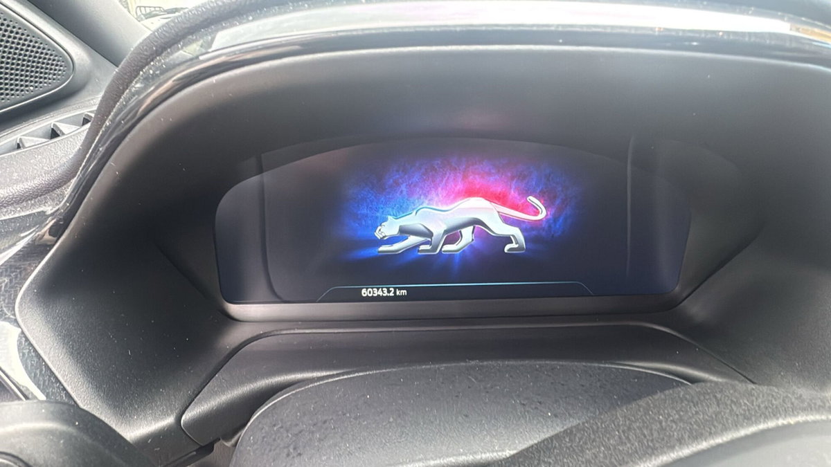 Ford Puma 1.0 EcoBoost Hybrid 125 CV S&S aut. ST-Line X (12)