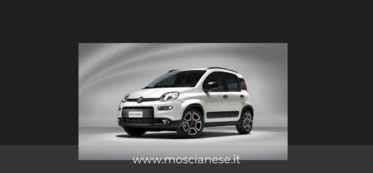 Fiat Panda 1.0 FireFly S&S Hybrid City Cross
