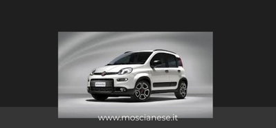 Fiat Panda 1.0 FireFly S&S Hybrid City Cross usata