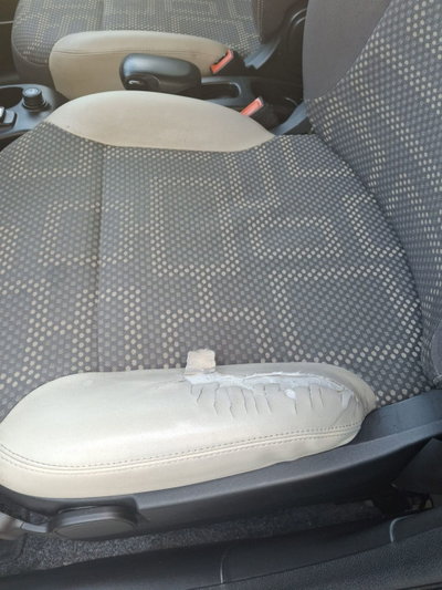 Fiat Panda 1.3 MJT 16V DPF 4x4 Climbing (6)