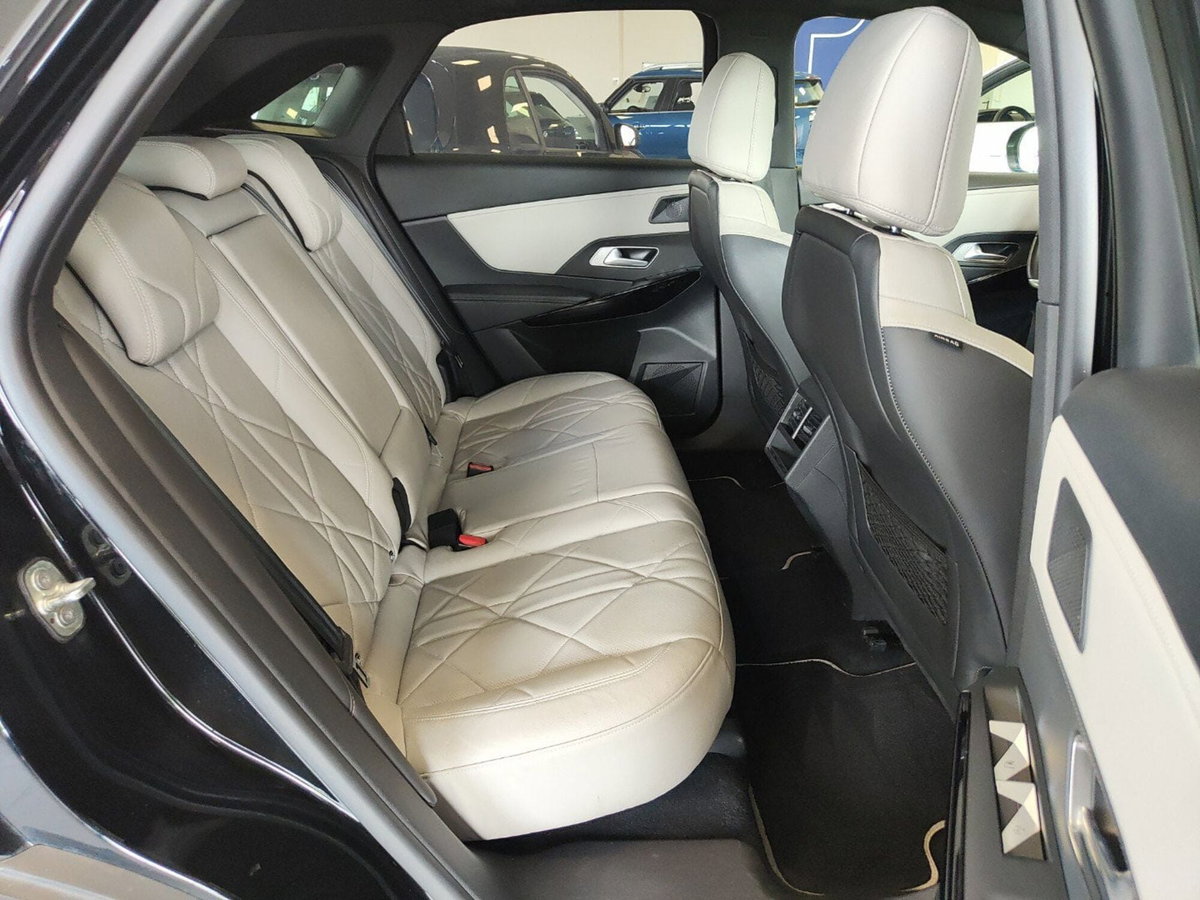 Ds DS 7 1.5 bluehdi Esprit de Voyage 130cv auto (7)