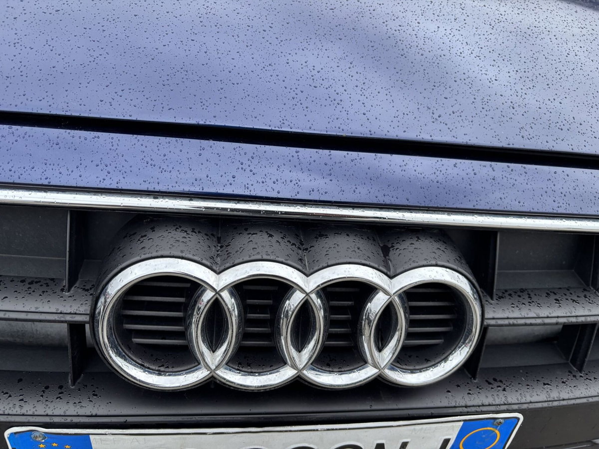 Audi A4 Allroad 2.0 TDI 163 CV S tronic (18)