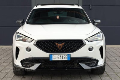 Cupra Formentor Formentor 2.0 tsi 4drive 190cv dsg (13)