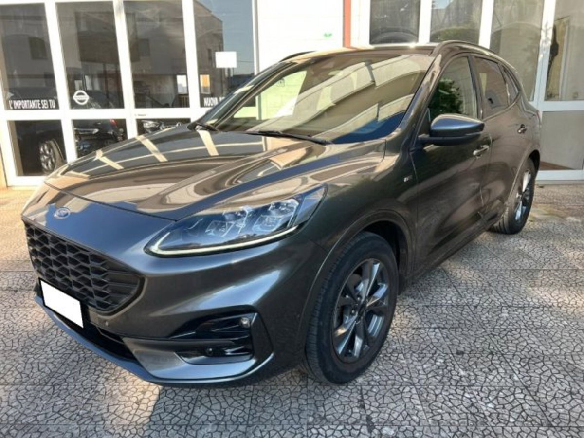 Ford Kuga 1.5 EcoBlue 120 CV 2WD ST-Line (2)