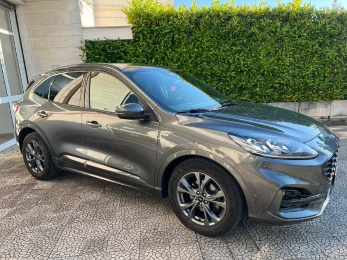 Ford Kuga 1.5 EcoBlue 120 CV 2WD ST-Line (3)