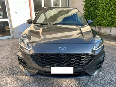 Ford Kuga 1.5 EcoBlue 120 CV 2WD ST-Line (4)