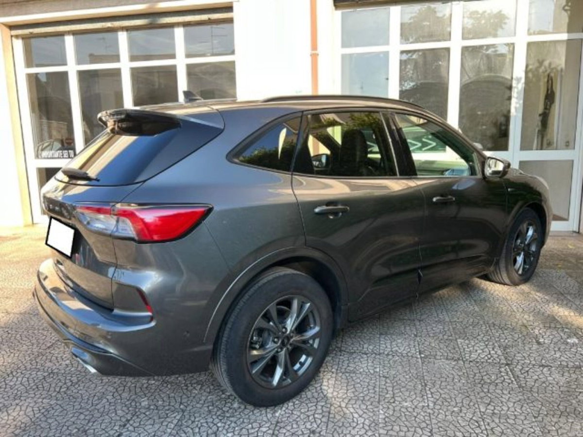 Ford Kuga 1.5 EcoBlue 120 CV 2WD ST-Line (5)