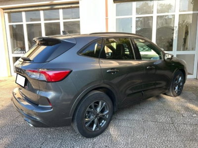 Ford Kuga 1.5 EcoBlue 120 CV 2WD ST-Line (5)
