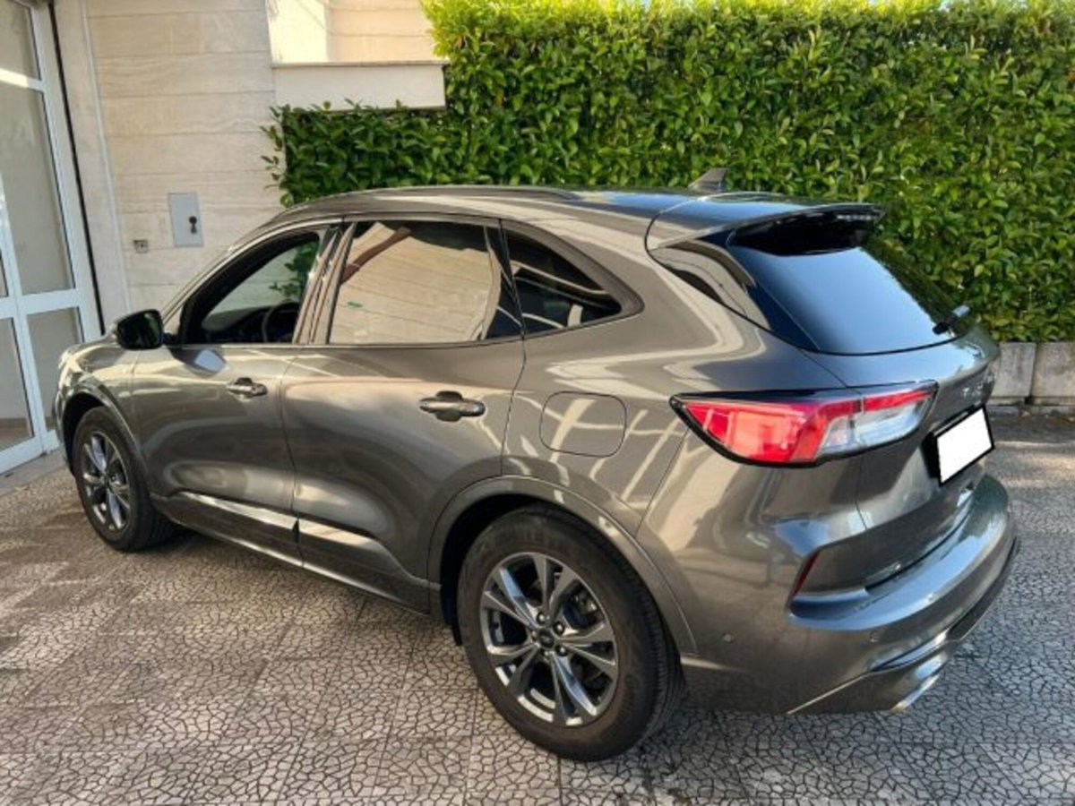 Ford Kuga 1.5 EcoBlue 120 CV 2WD ST-Line (7)