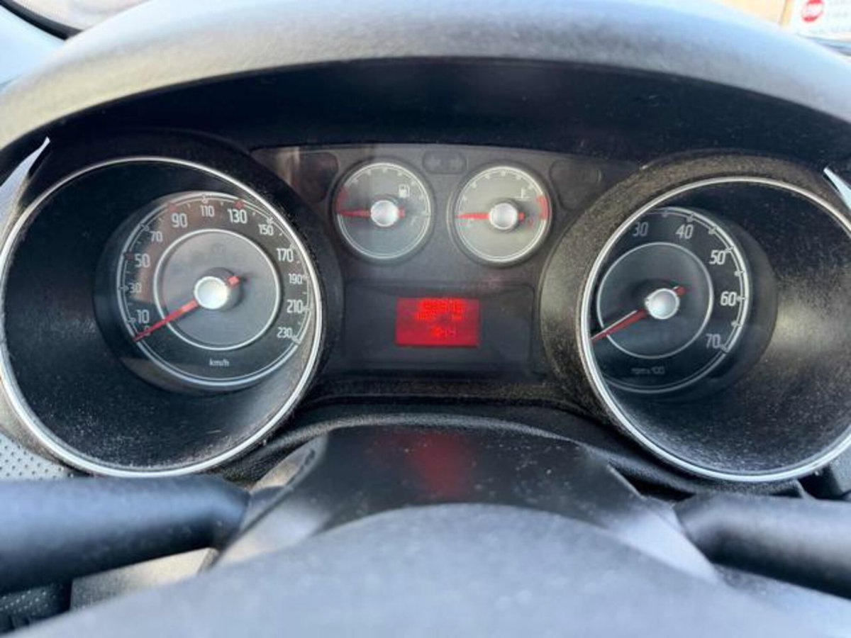 Fiat Punto Evo 1.3 MJT 75 DPF S&S 5p.Van Dynamic (8)