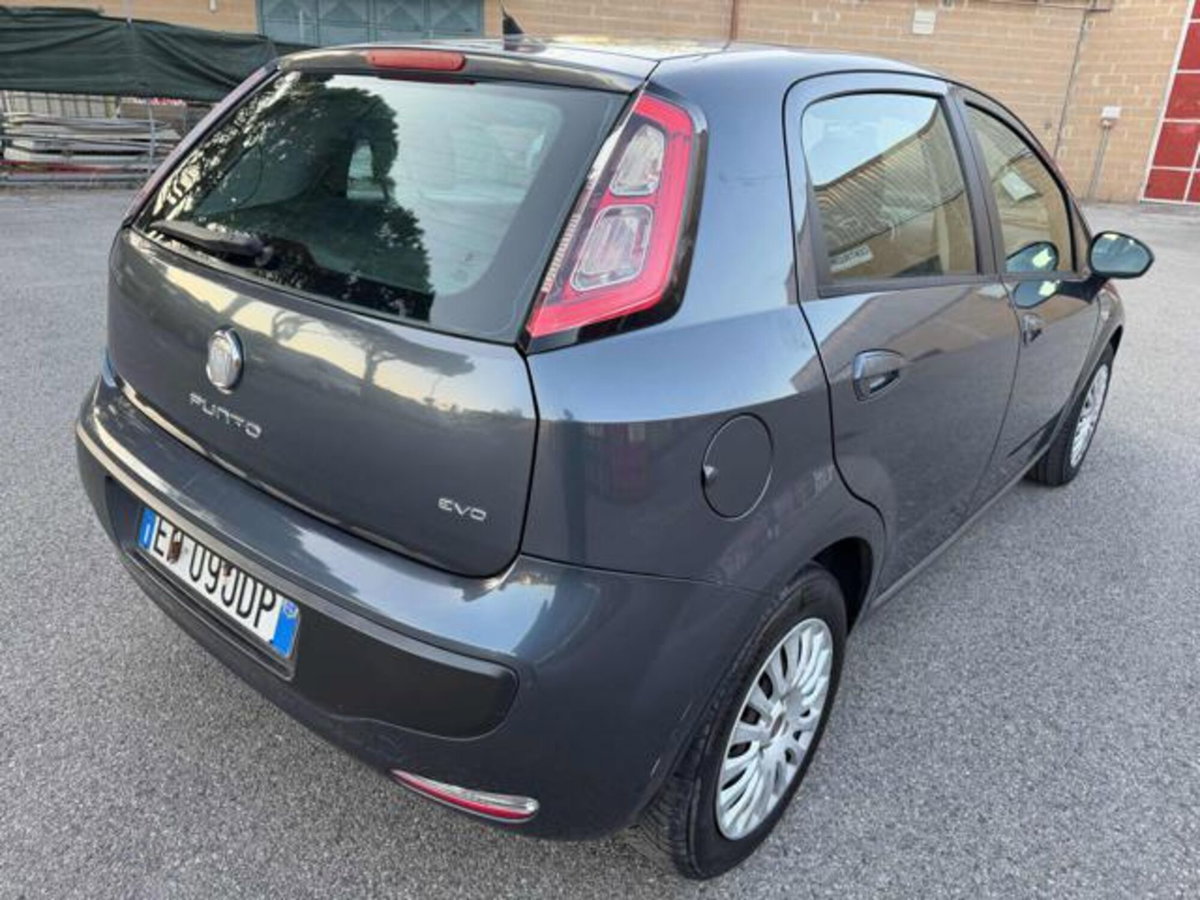 Fiat Punto Evo 1.3 MJT 75 DPF S&S 5p.Van Dynamic (12)