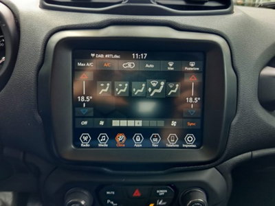 Jeep Renegade 1.0 T3 Business (8)