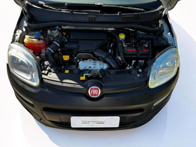 Fiat Panda 1.3 MJT 4x4 Pop Van 2 posti (12)