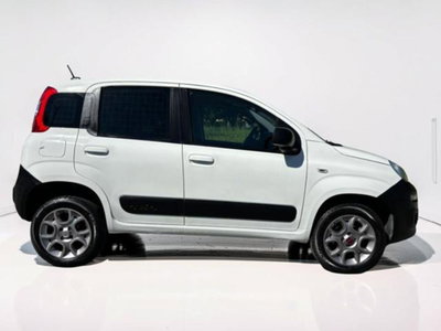 Fiat Panda 1.3 MJT 4x4 Pop Van 2 posti (3)