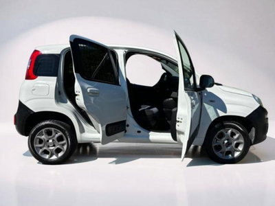 Fiat Panda 1.3 MJT 4x4 Pop Van 2 posti (5)