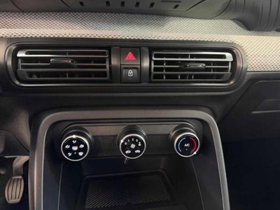 Citroen C3 1.2 puretech You Pack Plus 100cv s&s (12)