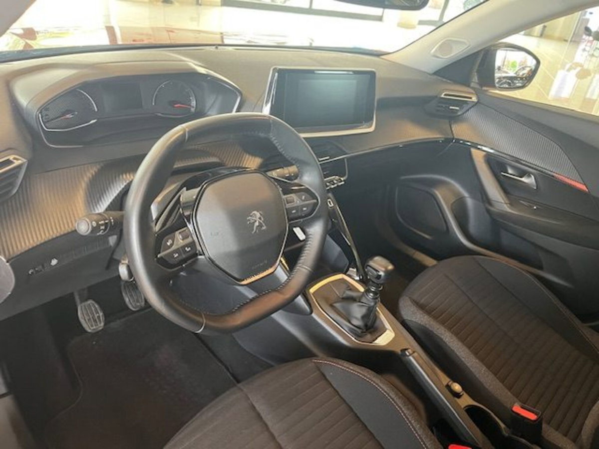 Peugeot 2008 BlueHDi 110 S&S Active Pack (10)