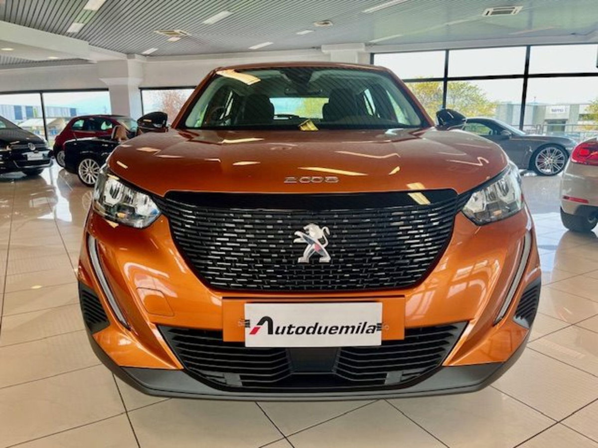 Peugeot 2008 BlueHDi 110 S&S Active Pack (2)