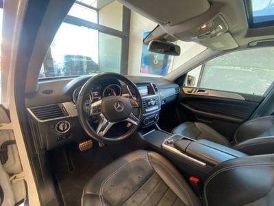 Mercedes-Benz Classe ML 250 BlueTEC 4Matic Premium (9)