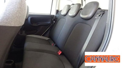 Fiat Panda 1.0 FireFly S&S Hybrid City Cross (10)