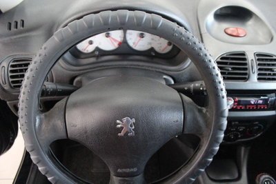 Peugeot 206 5p. Enfant Terrible (8)