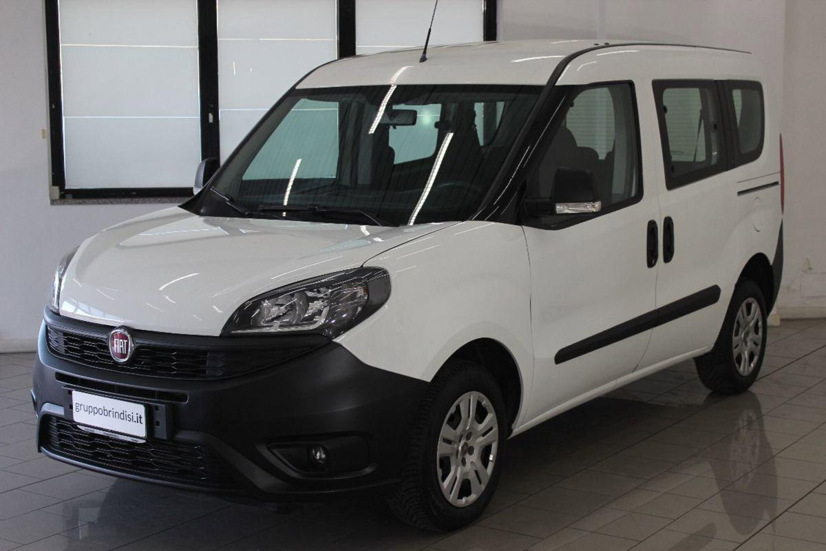 Fiat Doblò cargo combi N1 1.3 mjt 95cv CH1 Easy S&S (3)