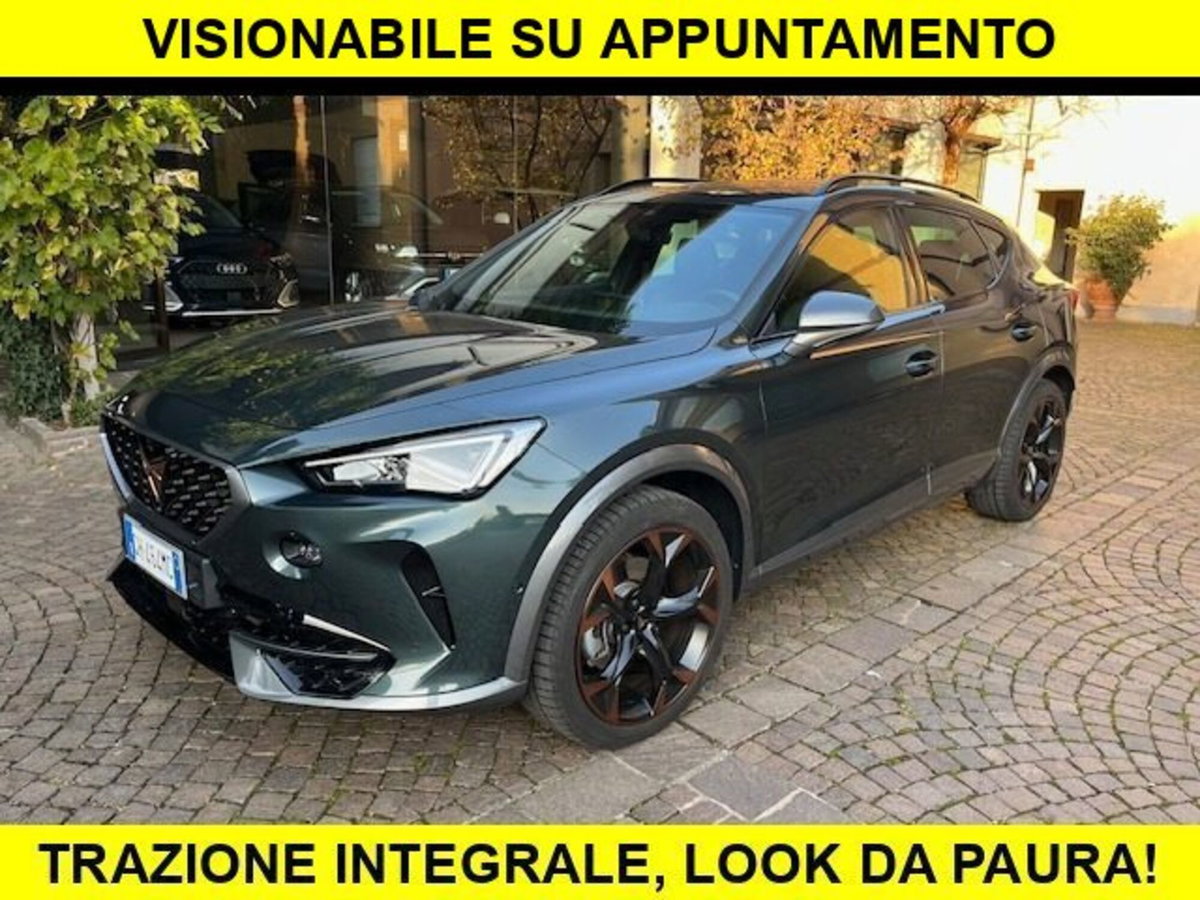 Cupra Formentor Formentor 2.0 tsi 4drive 190cv dsg