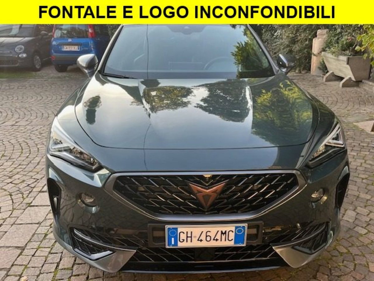Cupra Formentor Formentor 2.0 tsi 4drive 190cv dsg (12)