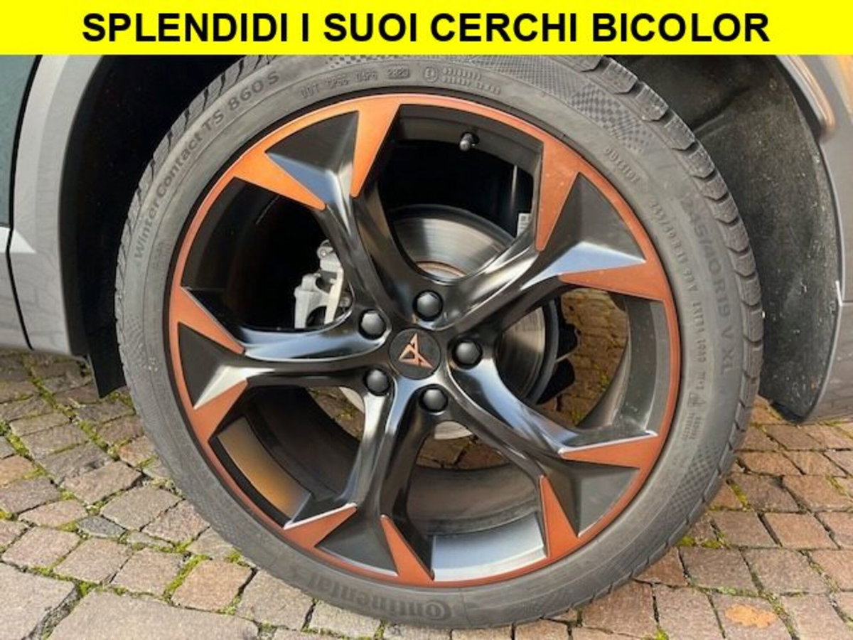 Cupra Formentor Formentor 2.0 tsi 4drive 190cv dsg (14)