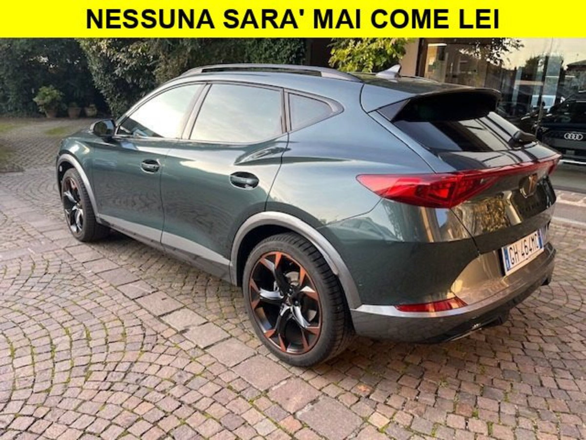 Cupra Formentor Formentor 2.0 tsi 4drive 190cv dsg (2)