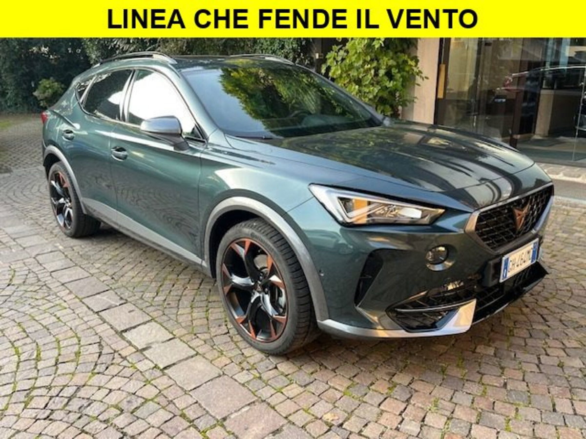 Cupra Formentor Formentor 2.0 tsi 4drive 190cv dsg (3)
