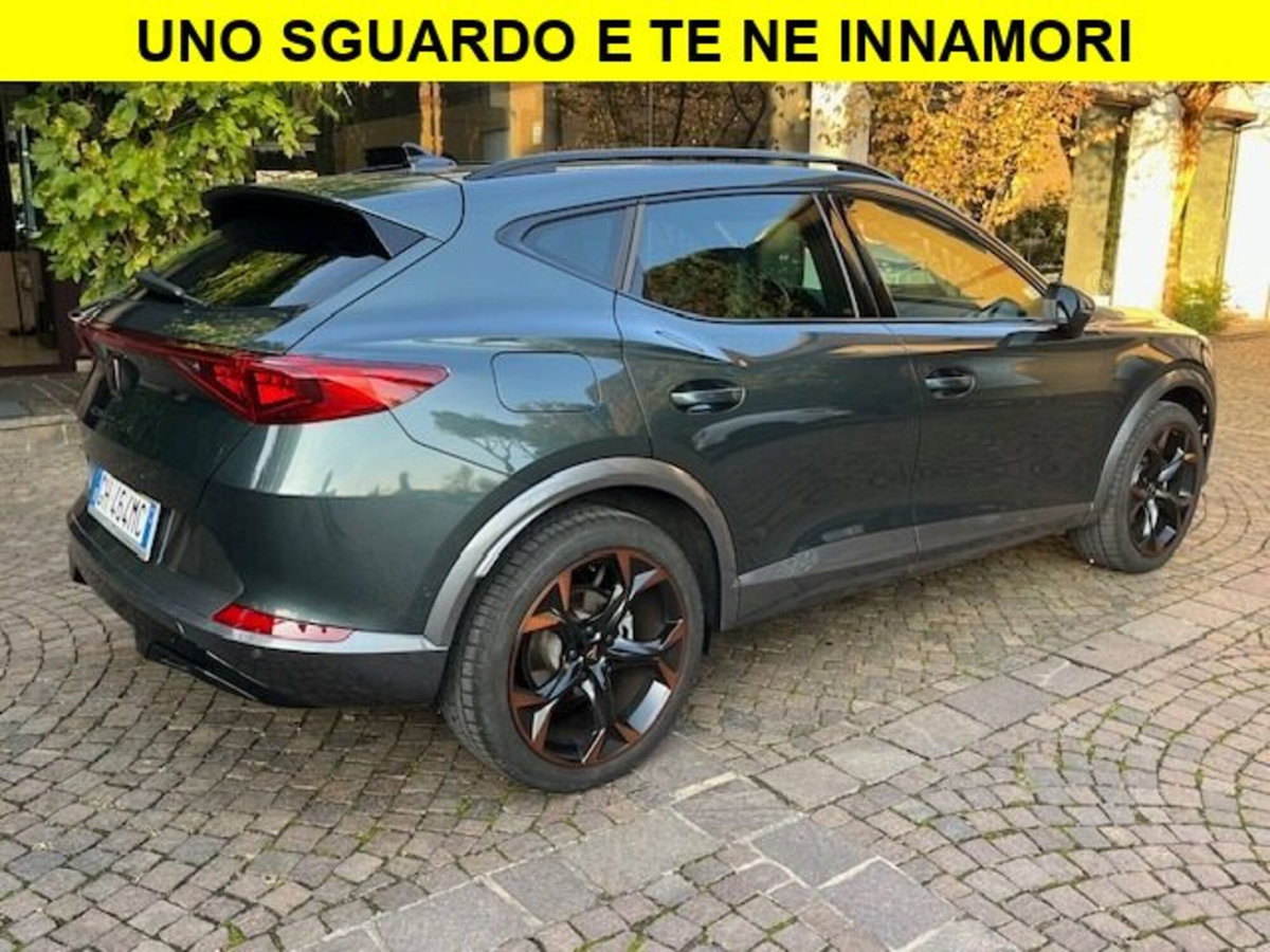 Cupra Formentor Formentor 2.0 tsi 4drive 190cv dsg (4)
