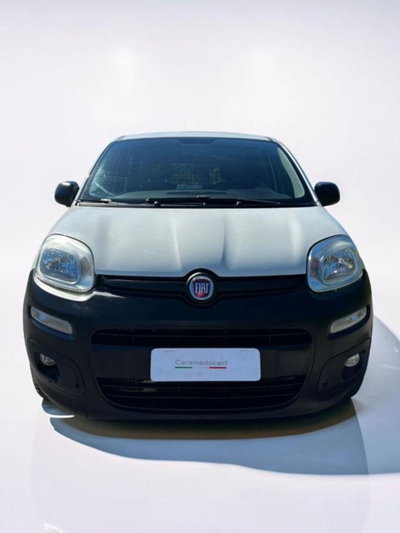 Fiat Panda 1.3 MJT 4x4 Pop Van 2 posti (2)