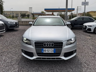 Audi A4 Avant 2.0 TDI 143CV F.AP. (2)