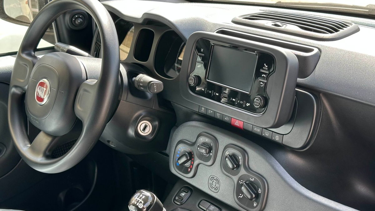 Fiat Panda 1.0 FireFly S&S Hybrid City Cross (8)