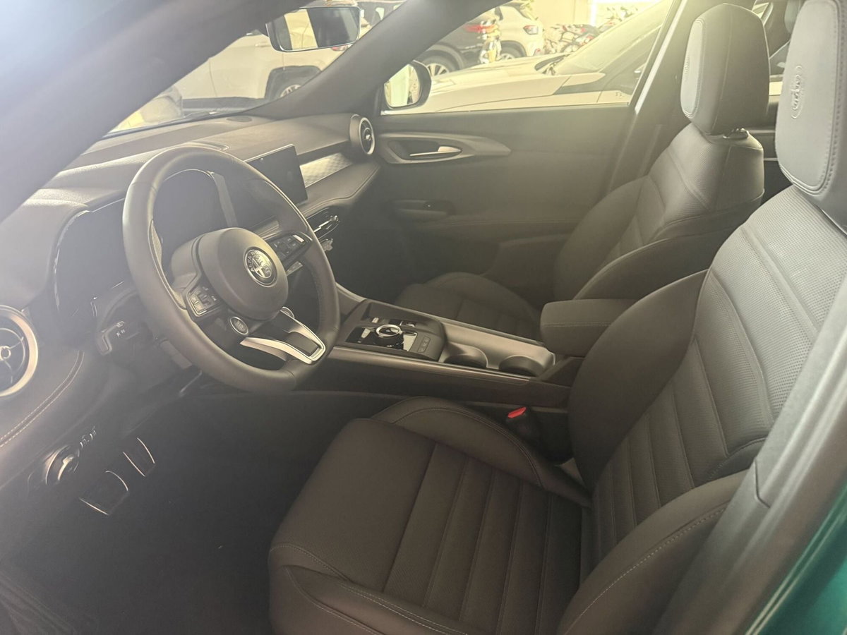 Alfa Romeo Tonale 1.6 Sprint 130cv tct6 (11)