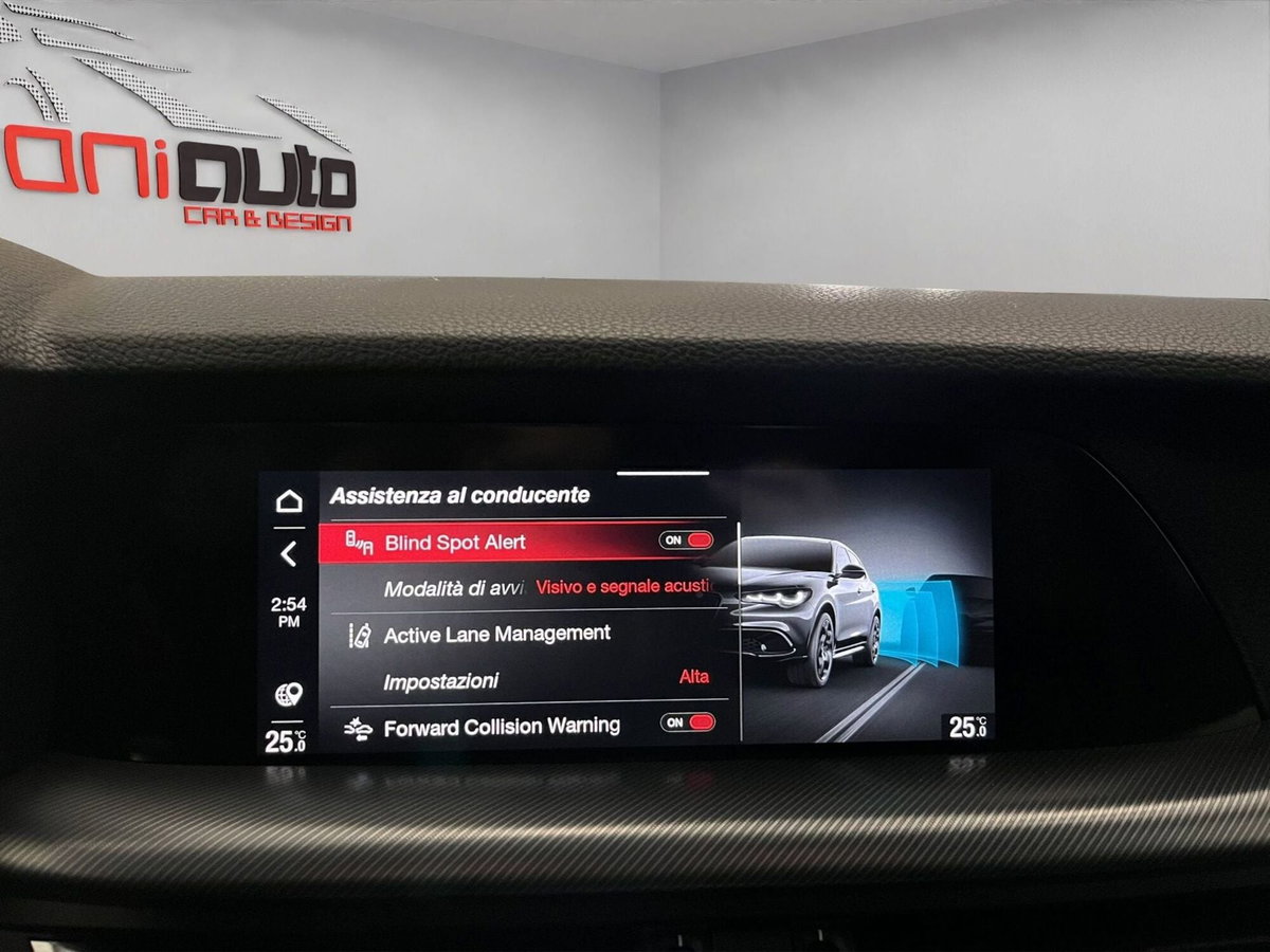Alfa Romeo Stelvio Stelvio 2.2 Turbodiesel 210 CV AT8 Q4 Veloce (20)