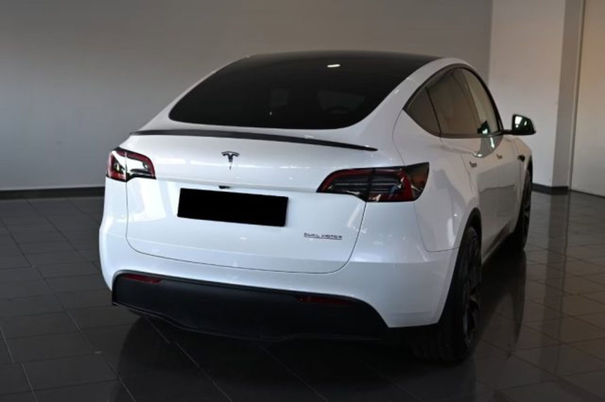 Tesla Model Y Performance awd (2)